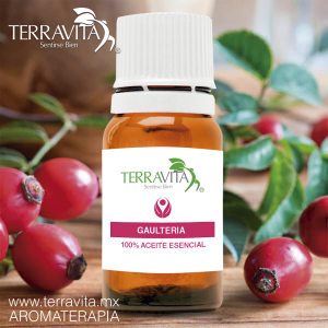 ACEITE ESENCIAL GAULTERIA