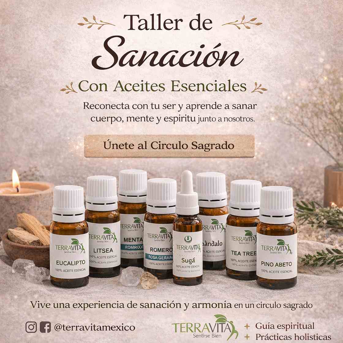 Terravita_Taller_1120_Comprimido