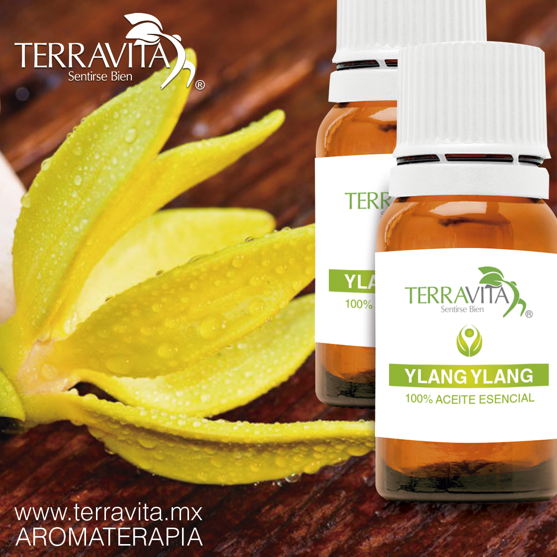 simulacion-aceites-ylang