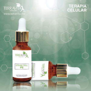 Celula Madre Pancreas