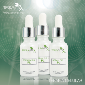 Celula Madre Piel