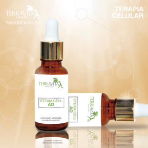 Celula Madre Aparato Digestivo