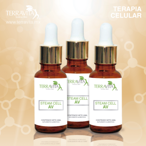 Celula Madre Arterias y Venas