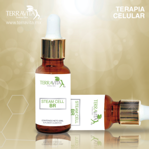 Celula Madre Bronquios