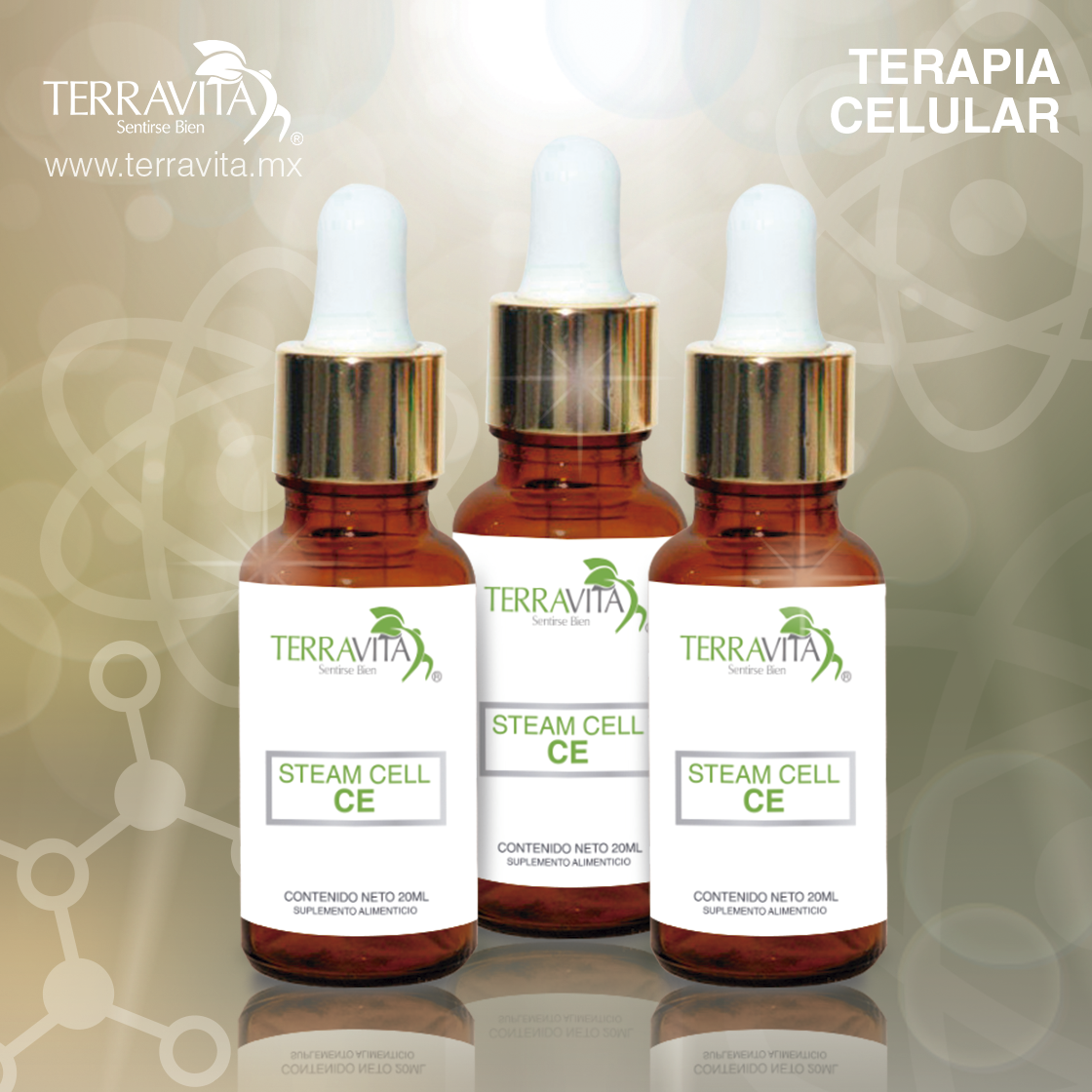 simulacion-productos-cerebro