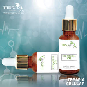 Celula Madre Corazón