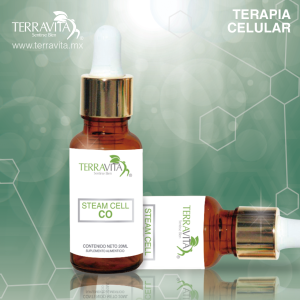 Celula Madre Cordon umbilical