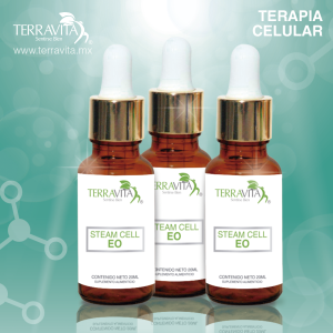 Celula Madre Embrioblasto