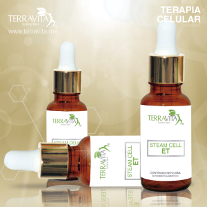 Celula Madre Embrion total