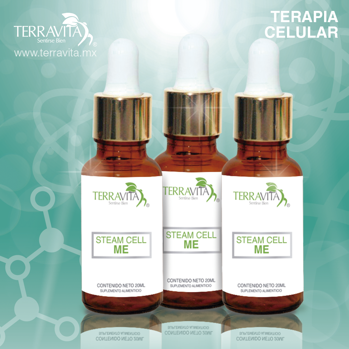 simulacion-productos-medulaespinal