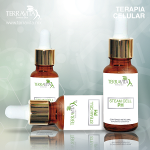 Celula Madre Placenta Hembra