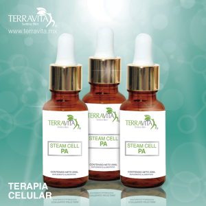 Celula Madre Prostata