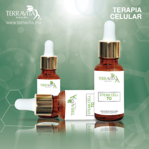 Celula Madre Tiroides