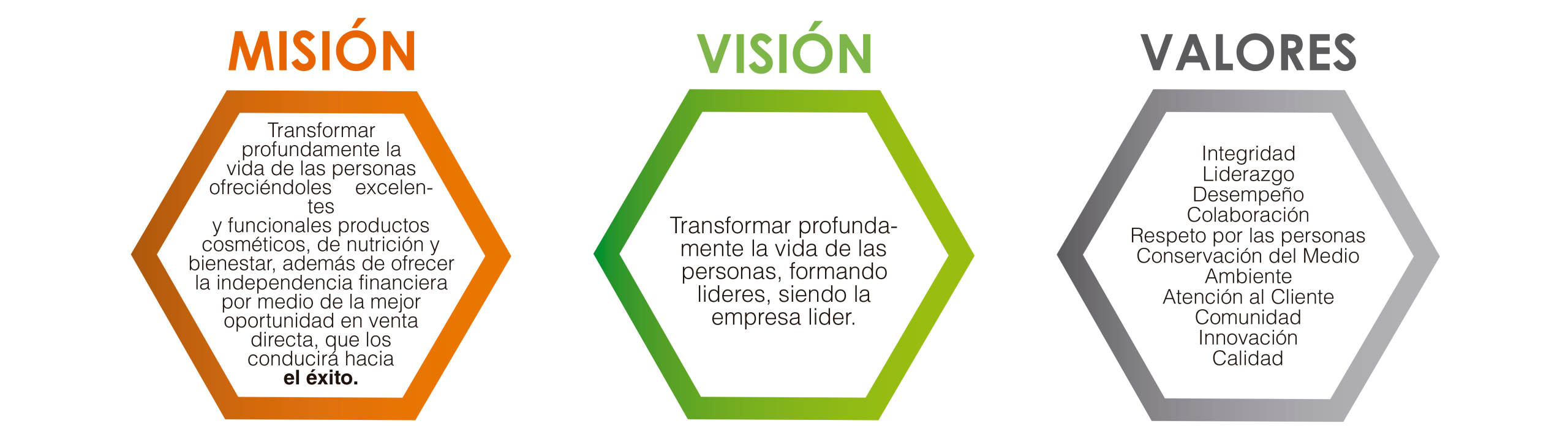 mision-vision-valores