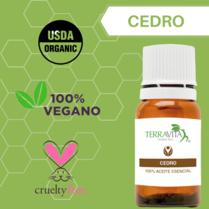 cedro 1