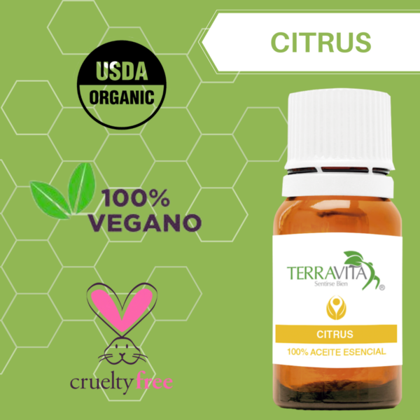 Ritual - Velas de masajes citrus 1