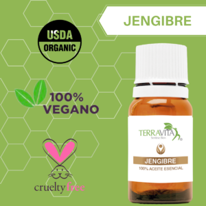 jengibre 1