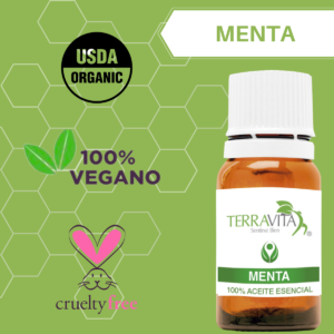 menta 1