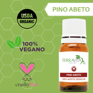 pino 1