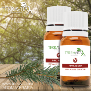 Aceite Escencial Pino