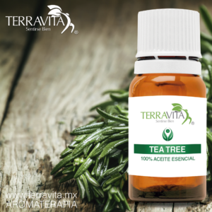 Aceite Esencial de Tea tree