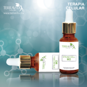 simulacion productos medulaosea