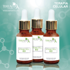 simulacion productos embrioastob