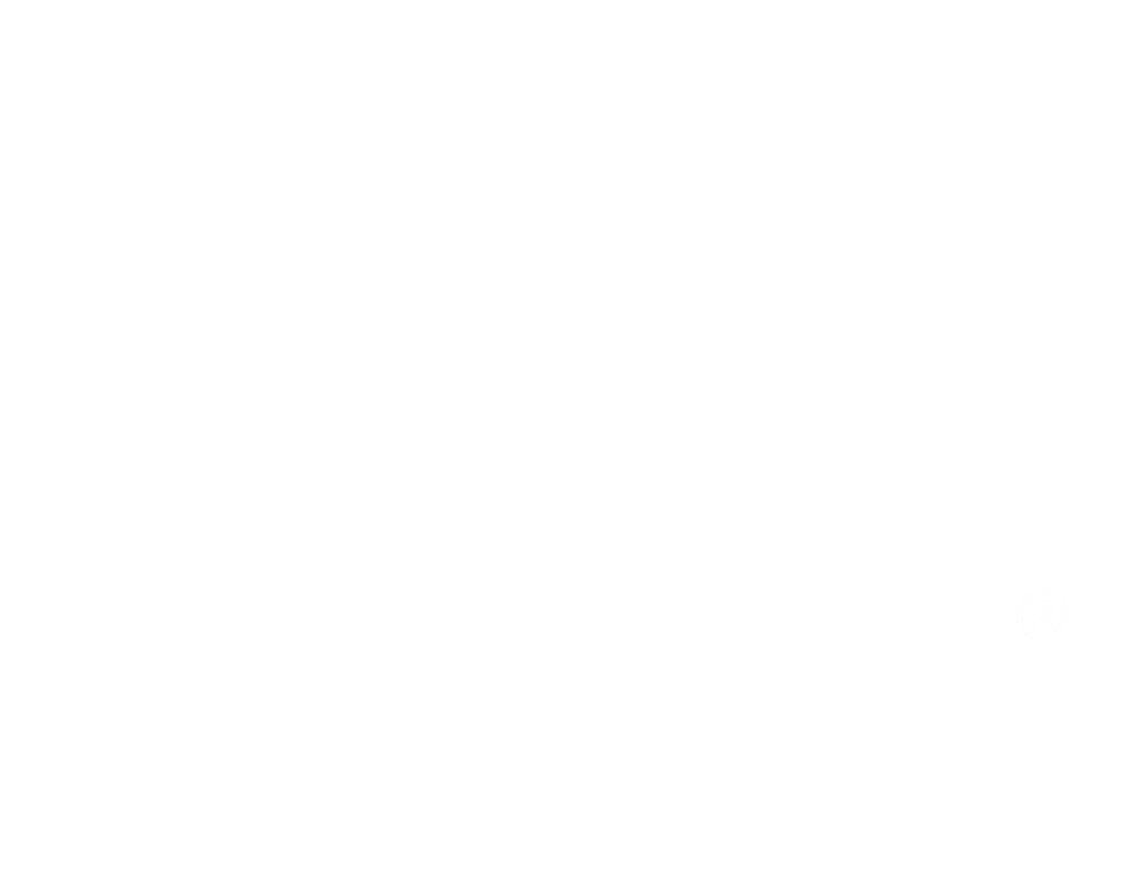 logo blanco 2